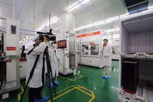 成都智造 探秘通威無人工廠，解碼四川清潔能源新興技術